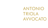 Avvocato Antonio Triola